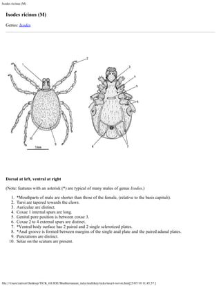 Mediterranean Ticks PDF