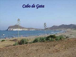 Cabo de Gata 