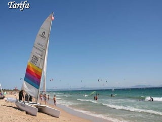 Tarifa 