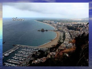 BlanesBlanes
 