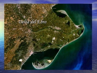 Delta del EbroDelta del Ebro
 