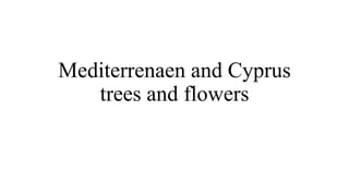 Mediterrenaen and Cyprus
trees and flowers
 