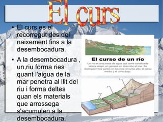 ● El curs es el
recorregut des del
naixement fins a la
desembocadura.
● A la desembocadura ,
un,riu forma ries
quant l'aigua de la
mar penetra al llit del
riu i forma deltes
quan els materials
que arrossega
s'acumulen a la
desembocadura.
 