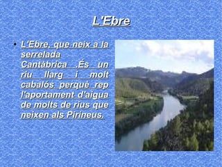 L'EbreL'Ebre
●
L'Ebre, que neix a laL'Ebre, que neix a la
serreladaserrelada
Cantàbrica .És unCantàbrica .És un
riu llarg i moltriu llarg i molt
cabalós perquè repcabalós perquè rep
l'aportament d'aigual'aportament d'aigua
de molts de rius quede molts de rius que
neixen als Pirineus.neixen als Pirineus.
 