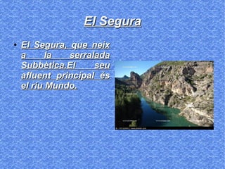 El SeguraEl Segura
●
El Segura, que neixEl Segura, que neix
a la serraladaa la serralada
Subbètica.El seuSubbètica.El seu
afluent principal ésafluent principal és
el riu Mundo.el riu Mundo.
 