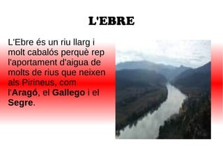 L'EBRE
L'Ebre és un riu llarg i
molt cabalós perquè rep
l'aportament d'aigua de
molts de rius que neixen
als Pirineus, com
l'Aragó, el Gallego i el
Segre.
 