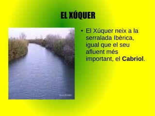 EL XÚQUER
● El Xúquer neix a la
serralada Ibèrica,
igual que el seu
afluent més
important, el Cabriol.
 