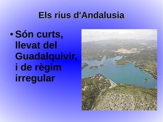 Els rius d'AndalusiaEls rius d'Andalusia
● Són curts,
llevat del
Guadalquivir,
i de règim
irregular
 