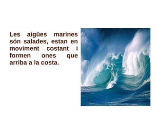Les aigües marines
són salades, estan en
moviment costant i
formen ones que
arriba a la costa.
 