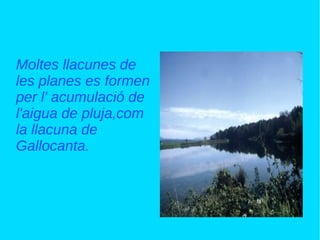 Moltes llacunes de
les planes es formen
per l' acumulació de
l'aigua de pluja,com
la llacuna de
Gallocanta.
 