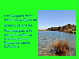 Les llacunes de la
costa són pròpies de
Zones costaneres.
Per exemple: a la
costa de València
s'ha format una
llacuna de costa,
l'Albufera.
 