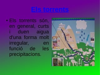 Els torrents
● Els torrents són,
en general, curts
i duen aigua
d'una forma molt
irregular, en
funció de les
precipitacions.
 