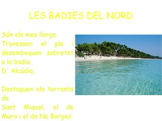 LES BADIES DEL NORD
Són els mes llargs.
Travessen el pla i
desemboquen sobretot
a la badia
D' Alcúdia.
Destaquen els torrents
de
Sant Miquel, el de
Muro i el de Na Borges.
 