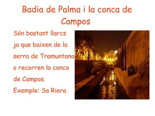 Badia de Palma i la conca de
Campos
Són bastant llarcs
ja que baixen de la
serra de Tramuntana
o recorren la conca
de Campos.
Exemple: Sa Riera.
 