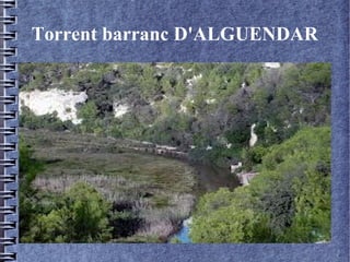 Torrent barranc D'ALGUENDAR
 