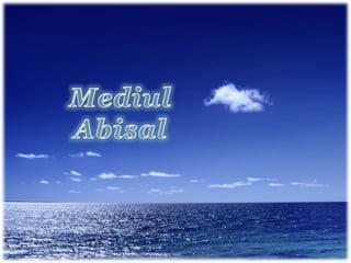 Mediul Abisal
 