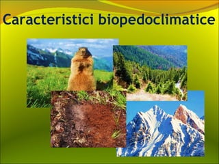 Caracteristici biopedoclimatice
 