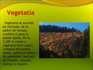 Vegetatia
 Vegetatia se succede
pe verticala, de la
paduri de foioase,
conifere si pana la
pajisti alpine. Pe la
3.200 m creste o
vegetatie fara copaci,
compusa din tundra
alpina, tufaris si ierburi.
De asemenea, asociaţii
de jneapăn, ienupăr,
merişor şi muşchi.
 