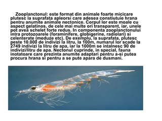 Zooplanctonul: este format din animale foarte micicare plutesc la suprafata apleorsi care adesea constiutuie hrana pentru anumite animale nectonice. Corpul lor este moale cu aspect gelatinos, de cele mai multe ori transparent, iar, unele pot avea schelet forte redus. In componenta zooplanctonului intra protozoarele (foraminifere, globigerine, radiolari) si celenterate (meduze etc). De exemplu, la suprafata, plutesc peste 10.000 de indivizi la litru, la 100m, numarul lor scade la 2749 indivizi la litru de apa, iar la 1000m se intalnesc 90 de indivizi/litru de apa. Nectonul cuprinde, in special, fauna inotatoare care prezinta anumite adaptari pentru a-si putea procura hrana si pentru a se pute apara de dusmani.  
