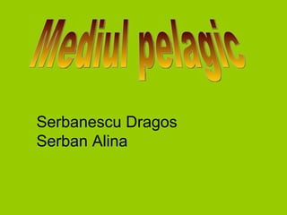 Mediul pelagic Serbanescu Dragos Serban Alina 
