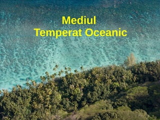 Mediul
Temperat Oceanic
 