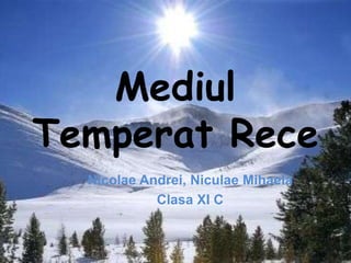 Mediul
Temperat Rece
  Nicolae Andrei, Niculae Mihaela
            Clasa XI C
 