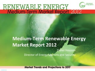Medium-Term Renewable Energy
                  Market Report 2012
                                              Didier Houssin
                      Director of Energy Markets and Security



© OECD/IEA 2012
 