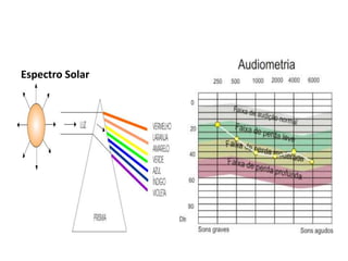 Espectro Solar 
 