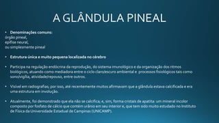 • Denominações comuns:
órgão pineal,
epífise neural,
ou simplesmente pineal
• Estrutura única e muito pequena localizada no cérebro
• Participa na regulação endócrina da reprodução, do sistema imunológico e da organização dos ritmos
biológicos, atuando como mediadora entre o ciclo claro/escuro ambiental e processos fisiológicos tais como
sono/vigília, atividade/repouso, entre outros.
• Visível em radiografias; por isso, até recentemente muitos afirmavam que a glândula estava calcificada e era
uma estrutura em involução.
• Atualmente, foi demonstrado que ela não se calcifica; e, sim, forma cristais de apatita: um mineral incolor
composto por fosfato de cálcio que contém urânio em seu interior e, que tem sido muito estudado no Instituto
de Física da Universidade Estadual de Campinas (UNICAMP).
 
