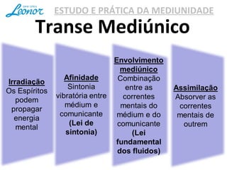 ESTUDO E PRÁTICA DA MEDIUNIDADE
Transe Mediúnico
 