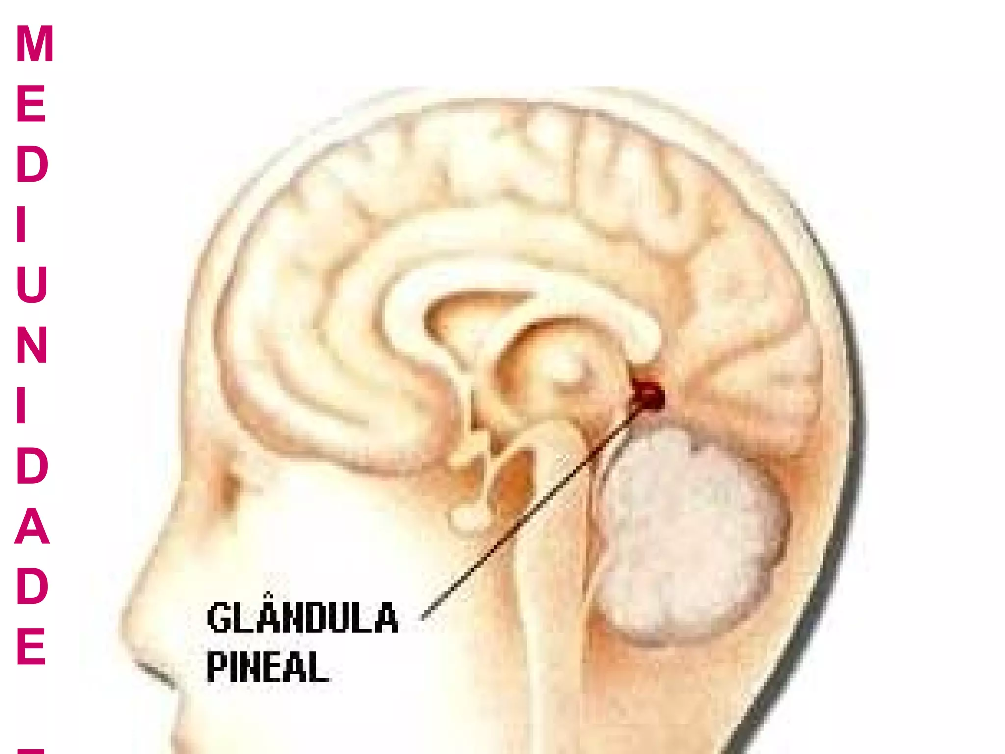 MEDIUNIDADE E CIENCIA
 