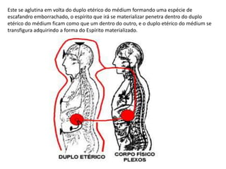 Este se aglutina em volta do duplo etérico do médium formando uma espécie de
escafandro emborrachado, o espírito que irá se materializar penetra dentro do duplo
etérico do médium ficam como que um dentro do outro, e o duplo etérico do médium se
transfigura adquirindo a forma do Espírito materializado.

 
