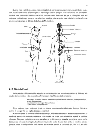 20


     Quanto mais evoluída a pessoa, mais ampliação terá das forças sexuais em inúmeras atividades para o
bem. Vai havendo maior diversificação na canalização dessas energias. Elas deixam de ser canalizadas
somente para o erotismo, como acontece nas pessoas menos evoluídas. As que já conseguem viver em
regime de castidade sem tormento mental podem canalizar estas energias para o trabalho em benefício do
próximo, para o campo da Ciência, da Cultura, da Mediunidade.

                                                     Pituitária                                 Coronário
                       Pineal

                                                                                                 Frontal ou Cerebral

          Tireóide e Paratireóide                                                                 Laríngeo

                                                     Coração e Timo


                                                                                                        Cardíaco

                    Pâncreas

                Supra-renais                                                                           Esplênico

                                                                                                      Gástrico ou Umbilical
                         Baço

                                                                                                       Genésico ou Básico



                          Cóccix




4.1 A Glândula Pineal

     Jorge Andréa, médico psiquiatra, expositor e escritor espírita, que há muitos anos tem se dedicado aos
estudos da mediunidade e das obsessões, afirma-nos em Nos Alicerces do Inconsciente:

                               A tríade por excelência, da mais alta expressão no mecanismo mediúnico,seria representada:
                               a) pela glândula pineal;
                               b) pelos centros de energia vital ou chacras;
                               c) pelo sistema neuro-vegetativo.

     Como podemos notar, a glândula pineal e o sistema neuro-vegetativo são órgãos do corpo físico e os
centros de energia vital são órgãos do corpo perispiritual.
     A glândula pineal foi bastante conhecida dos antigos, fato observado através de descrições existentes. A
escola de Alexandria participou ativamente dos estudos da pineal que achavam-se ligados a questões
religiosas. Os gregos conheciam-na como conarium, e os latinos como pinealis, semelhante a uma pinha.
Estes povos, em suas dissertações, localizavam na pineal o centro da vida. Mais tarde, os trabalhos sobre a
glândula pineal se enriqueceram com estudos de De Graff, Stenon e Descartes que, em 1677, fez uma
 