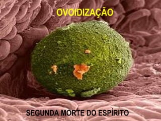 OVOIDIZAÇÃO




SEGUNDA MORTE DO ESPÍRITO
 