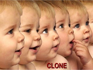 CLONE
 