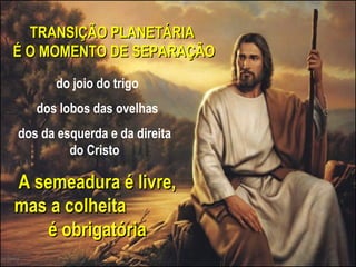 TRANSIÇÃO PLANETÁRIA
É O MOMENTO DE SEPARAÇÃO
      do joio do trigo
   dos lobos das ovelhas
dos da esquerda e da direita
         do Cristo

A semeadura é livre,
mas a colheita
    é obrigatória
 
