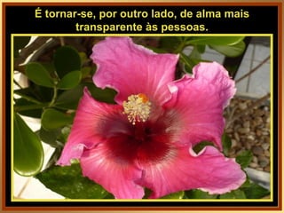 É tornar-se, por outro lado, de alma mais transparente às pessoas. 