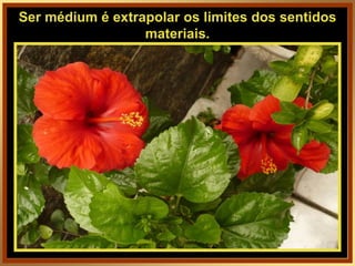 Ser médium é extrapolar os limites dos sentidos materiais. 