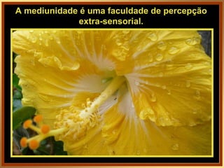 A mediunidade é uma faculdade de percepção extra-sensorial. 
