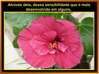 Através dela, dessa sensibilidade que é mais desenvolvida em alguns,  