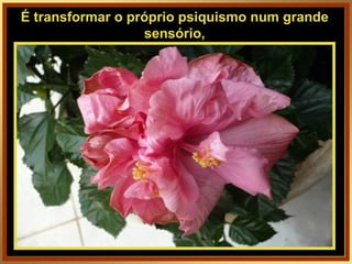 É transformar o próprio psiquismo num grande sensório, 