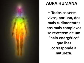 AURA HUMANA 
• Todos os seres 
vivos, por isso, dos 
mais rudimentares 
aos mais complexos 
se revestem de um 
“halo energético” 
que lhes 
corresponde à 
natureza. 
 