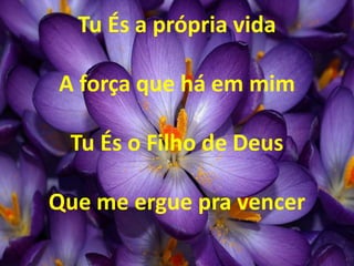 Tu És a própria vida
A força que há em mim
Tu És o Filho de Deus
Que me ergue pra vencer
 