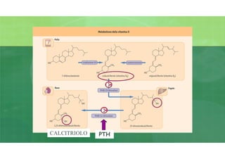 PTHCALCITRIOLO
 