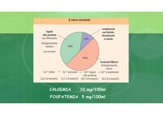 CALCEMIA 10 mg/100ml
FOSFATEMIA 5 mg/100ml
 