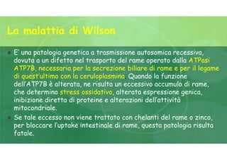La malattia di Wilson
 E’ una patologia genetica a trasmissione autosomica recessiva,
dovuta a un difetto nel trasporto del rame operato dalla ATPasi
ATP7B, necessaria per la secrezione biliare di rame e per il legame
di quest’ultimo con la ceruloplasmina. Quando la funzione
dell’ATP7B è alterata, ne risulta un eccessivo accumulo di rame,
che determina stress ossidativo, alterata espressione genica,
inibizione diretta di proteine e alterazioni dell’attività
mitocondriale.
 Se tale eccesso non viene trattato con chelanti del rame o zinco,
per bloccare l’uptake intestinale di rame, questa patologia risulta
fatale.
 
