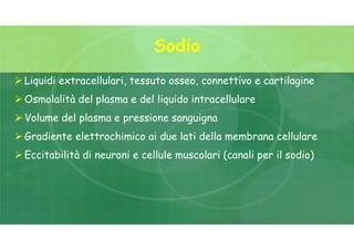 Sodio
 Liquidi extracellulari, tessuto osseo, connettivo e cartilagine
 Osmolalità del plasma e del liquido intracellulare
 Volume del plasma e pressione sanguigna
 Gradiente elettrochimico ai due lati della membrana cellulare
 Eccitabilità di neuroni e cellule muscolari (canali per il sodio)
 