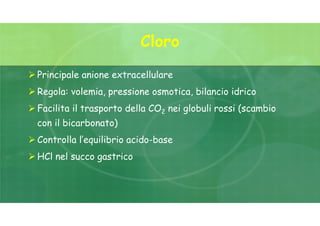 Cloro
 Principale anione extracellulare
 Regola: volemia, pressione osmotica, bilancio idrico
 Facilita il trasporto della CO2 nei globuli rossi (scambio
con il bicarbonato)
 Controlla l’equilibrio acido-base
 HCl nel succo gastrico
 