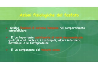  Svolge funzioni di sistema tampone nel compartimento
intracellulare
 E’ un importante costituente di varie macromolecole
quali gli acidi nucleici, i fosfolipidi, alcuni intermedi
metabolici e le fosfoproteine
 E’ un componente del tessuto osseo
Azioni fisiologiche del fosfato
 