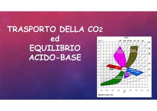 TRASPORTO DELLA CO2
ed
EQUILIBRIO
ACIDO-BASE
 
